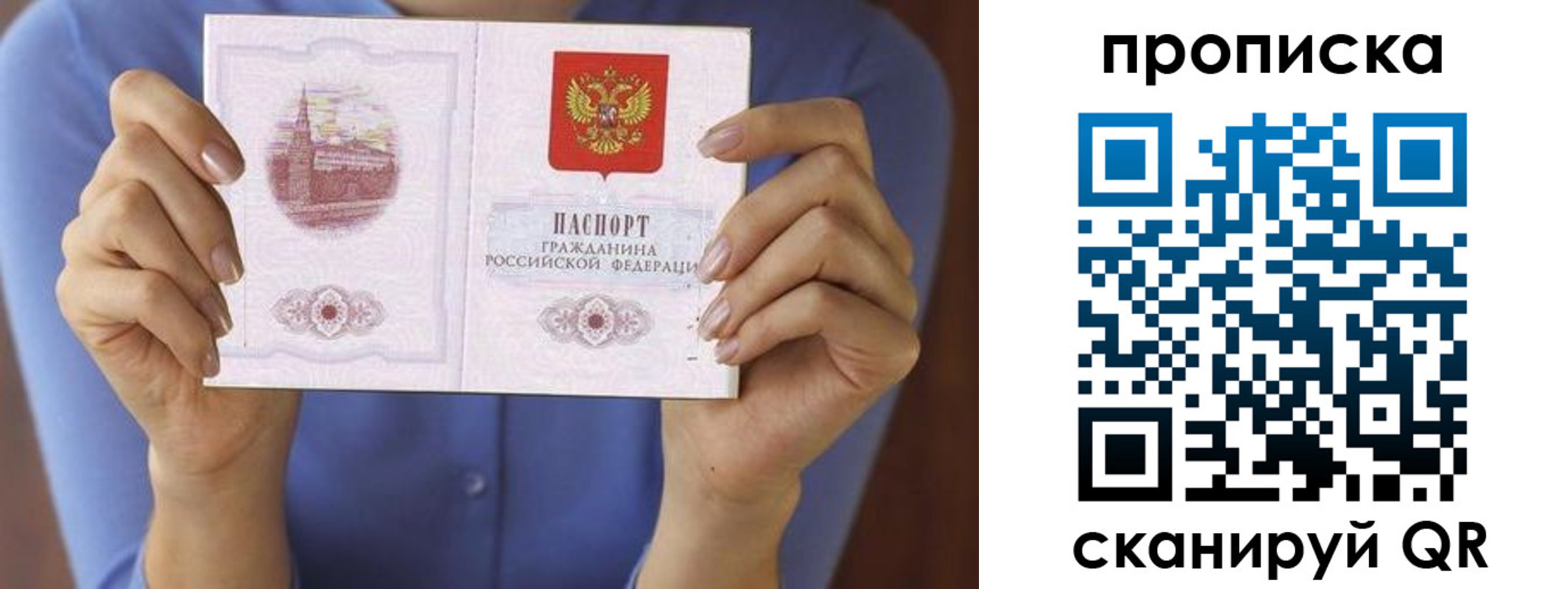 прописка паспорт в Вологде